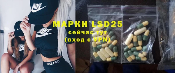 ГАЛЛЮЦИНОГЕННЫЕ ГРИБЫ Козловка