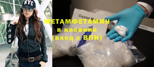 ГАЛЛЮЦИНОГЕННЫЕ ГРИБЫ Козловка