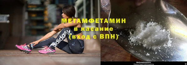 ГАЛЛЮЦИНОГЕННЫЕ ГРИБЫ Козловка