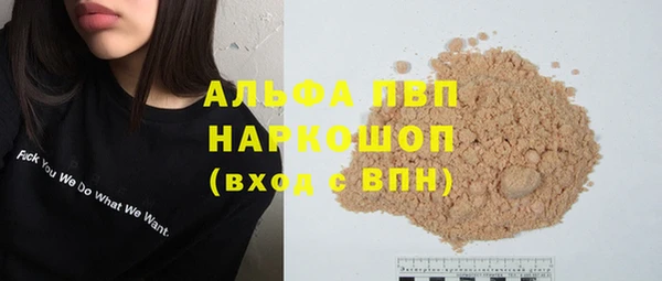 ГАЛЛЮЦИНОГЕННЫЕ ГРИБЫ Козловка