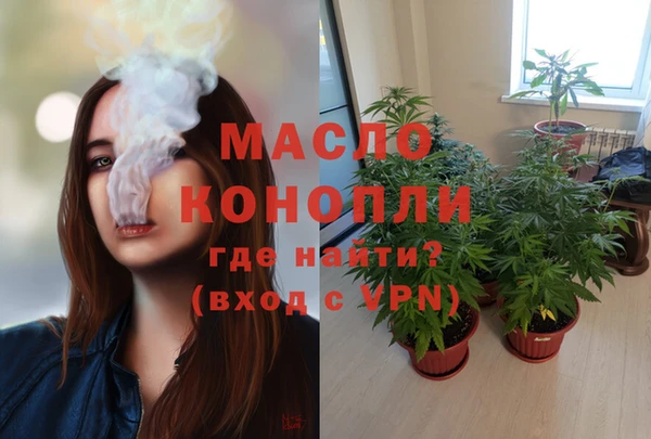 ГАЛЛЮЦИНОГЕННЫЕ ГРИБЫ Козловка