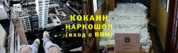 ГАЛЛЮЦИНОГЕННЫЕ ГРИБЫ Козловка