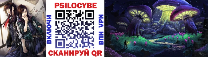 Галлюциногенные грибы Psilocybine cubensis  как найти   blacksprut сайт  Северск 